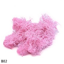 비바리움식물 이끼 테라리움이끼 재료 생이끼 양지이끼 서리이끼 비단이끼 천연이끼 40g 천연 조경 식물 인공 공예 꽃 마이크로 조경 액세서리 정원 홈 인테리어 벽 다채로운 잔디, b02