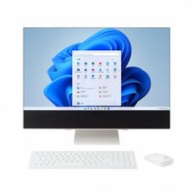 LG전자 24V70Q-GA70K (WIN11홈 / 12세대) 일체형PC + SSD 2TB 추가