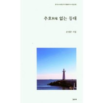 추호 없는 등대, 손경준(저), 그림과책