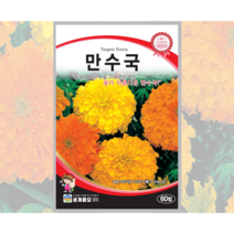 만수국 꽃 씨앗 60립 / 겹꽃 천수국 취부용 국화과