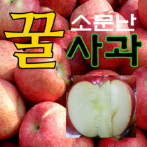 [산지직송] 2022년 햇사과 부사 소미네 사과, 1박스, 02.사과 갈아먹는 흠집사과 쥬스용 10kg(반품불가)