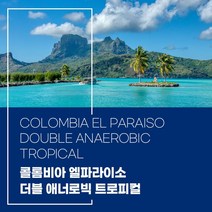 (커피생두) 157 콜롬비아 엘파라이소 더블 애너로빅 트로피컬 1kg