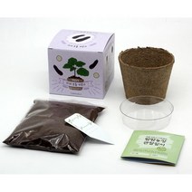 쉬운분갈이 주말농장용 야채모종화분세트 원예취미용 DIY 베란다정원용 재배키트, 1개, 옥수수
