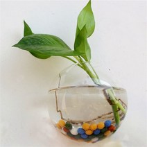 벽걸이화분 매달린 꽃 냄비 유리 볼 꽃병 테라리움 벽 물고기 탱크 수족관 컨테이너 글래스 홈 데코, [01] 10cm, 01 10cm