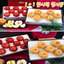 1+1 사과배 세트 선물세트 배사과 혼합 최상급배 과일선물세트 상자 설선물세트 설날 맛있는 과일 선물용 고급 박스 포장 명절 사과 배, 나주배 5kg+ 사과 2.5kg 알뜰형 세트