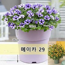 유럽 수입 플라스틱 칼라 화분 메이카 29 파스텔톤 색감 집안을 화사하게 식물을 돋보이게~[DESCH PLANTPAK], 라일락