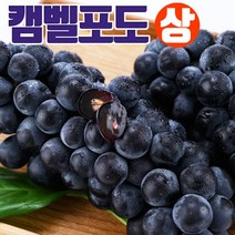 캔디처럼 맛있는 머루 포도 캠벨 포도, 캠벨포도(상)3kg(10-11송이)