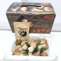 송향버섯 실속형 무농약 친환경 재배, 1박스, 선물용(최고급)500g