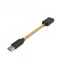 아이파이 OTG C타입 젠더 iFi Audio USB C타입 충전 케이블 [오늘출발]