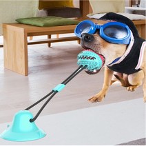 강아지 흡착판 터그놀이 치석제거 장난감 강아지 장난감 강아지 용품 애견장난감 애완용품 애견용품 강아지들이좋아하는 장난감 개장난감 강아지 장난감 쇼핑몰 강아지놀이기 애견놀이기