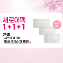 마스크새로이 마스크 향균 제습 탈취 보관케이스 보관파우치 보관함 케이스 새로이팩, 3세트, 1팩