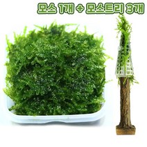 무결점 미니삼각 모스+트리모양 모스활착 3개 세트, 없음