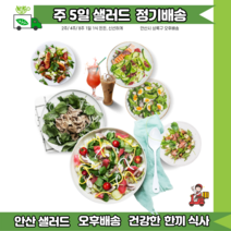 안산샐러드정기배송 4주 20일 매일배송 [ 안산샐러드 배달 ], 17~18시, C