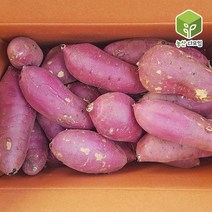 고구마 꿀밤고구마 왕특 10kg, 단품