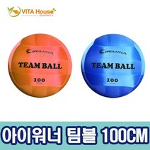 V_아이워너_팀볼_100CM_2종_택1_학교_체육_놀이_킨볼 3BC6, ▩▷_ 아이워너 팀볼 100CM 2종 택1 부메랑장난감, ▩▷_ 블루