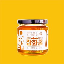 지리산피아골식품 피아골미선씨 지리산에서 온 천연 야생화 잡화 벌꿀 300g, 단품/단품