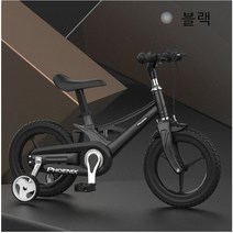 디와이(DY) Phoenix 피닉스 아동 어린이 자전거 12 14 16인치 레드 무지개 블랙 핑크, 블랙+12인치