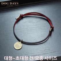 등록번호/이름/연락처 각인펜던트 목걸이(대형견용), 팬던트L(대)
