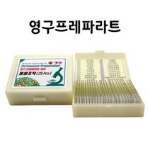 영구프레파라트 동물조직(25매) SD 64005