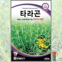 타라곤 2000립 / 다년생 허브씨앗 씨앗 화단 정원 꽃밭