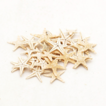 조개껍질 고둥 소라 불가사리 껍데기모음, 21 불가사리-小 [30입]