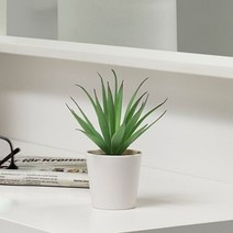 1+1 이케아 FEJKA 페이카 인조 다육 식물 화분 6cm 1P, 10개