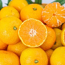 새콤달콤 제주 노지감귤 5kg, 노지감귤 5kg (2L-L)