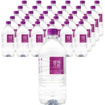 몽베스트 1L x 48펫
