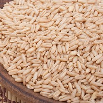 네오팜 수입잡곡 귀리4kg 1봉 캐나다산