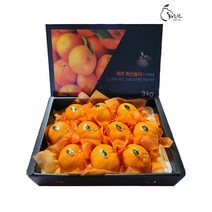 [황금원] 고급스러운 맛과 탱글탱글한 식감이 뛰어난 프리미엄레드향 3kg 특대과선물세트(7~12과내외)/연말연시 명절선물로추천, 1box