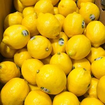 프레시마켓 레몬 칠레산 펜시레몬 가정용 중대과 10과 20과 30과 카페 납품용 벌크 70과 140과, 레몬10과