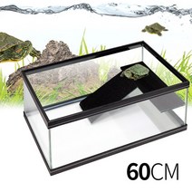 3D 거북이 전용수조 600-높이가 낮은 수족관 어항/헬로아쿠아