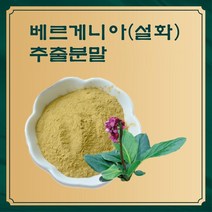 베르게니아 설화 추출분말 50g 샘플, 본상품선택, 본상품선택