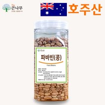The큰나무 호주산 파바빈 콩 1kg 원물 23년산 햇 파바빈 수입사 직판 TV홈쇼핑 공급사, 1개