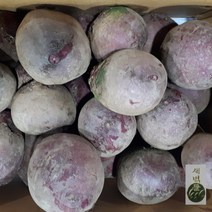 새벽들 국내산 비트 abc쥬스(1kg 3kg 5kg 10kg), 1box, 10kg