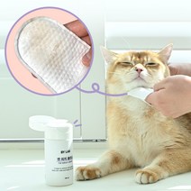 바이랩 캣피지클리너 고양이 턱드름 제거 블랙헤드 관리 티슈, 1세트