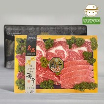 안동와룡농협 1+등급 우리한우 등채반선물세트 1.2kg(등심+채끝+특수부위), 단품
