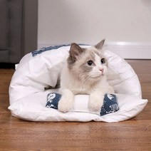고양이이불 방석 강아지담요 쿠션 이불베게세트_1211EA, 꽃무늬레드M