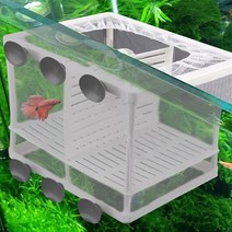 아쿠아블루 치어망(대) GL-02- 치어격리 부화통, 단품