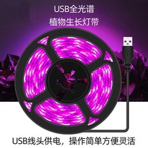 식물공장 조명 홈가드닝 썬라이크 수유등 취침등 선물 Chenghong Full Spectrum Duculent Color -Colored Anti -Apprentice Lighting Light Sunlight Room 번식 꽃 USB 식물 성장 조명, 방수 방수 기능이있는 USB 전체 스펙트럼 1 미터 램