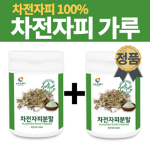 여성 여자 차전자피 식이섬유 분말 임산부 산모 대변이안나올때 해결 숙변제거제 식이섬유제 이선균 차전자 자전자피 쥬스 주스 스무디 가루 파우더 질경이 껍질 나는몸신이다