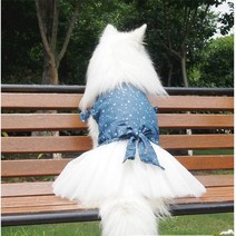 대형견옷 강아지패딩 대형견큰개 드레스 여름 옷 Corgi Samoyed Spitzbn 코커 스패니얼 골든 리트리버 의류, 01 파란_02 L