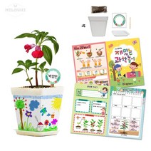 milovhi 관찰일지포함 봉선화 화분 꾸미기 키트 풀세트 유치원 어린이집 식목일 행사 화분 만들기, 1세트
