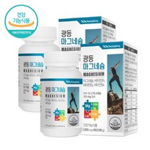 산화 마그네슘 비타민 B6 B1 B2 함유 MAGNESIUM, 2개, 90정