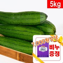 생수세미 5kg - 잘키운 국산 수세미열매, 1개