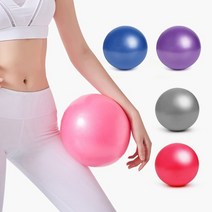 짐볼 미니짐볼 엑서사이즈 미니 요가 25CM 에어펌프 발란스볼 돔볼 필라테스 요가 홈트 공, 핑크