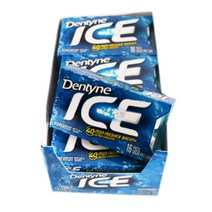 DENTYNE 덴타인 페퍼민트 무설탕껌 24g