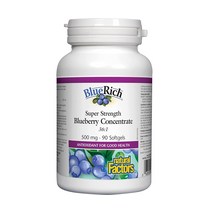 네추럴팩터스 블루베리 농축액 500mg 다중불포화 지방 90소프트젤, 1개, 기본