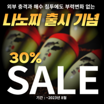 긱스코리아 나노찌, 반유동, 나노 테라, 1.0