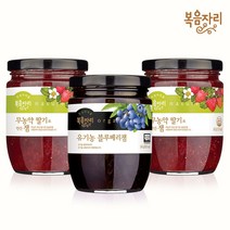 복음자리 [복음자리]무농약 딸기잼 360g 2개+유기농 블루베리잼 340g(딸기쨈 간식 디저트)